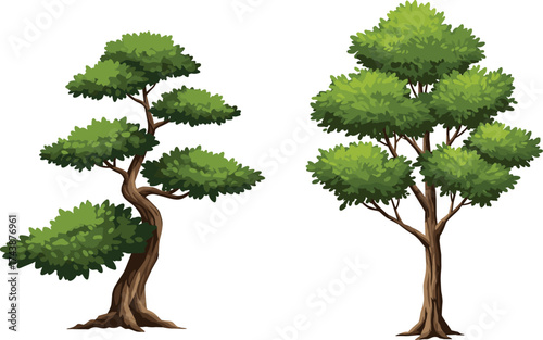 Tree, foliage, trunk, branches, stylized, natural, comparison, landscape, design, illustration, structure, shape, organic, environment, green, artistic, reference, visual, 