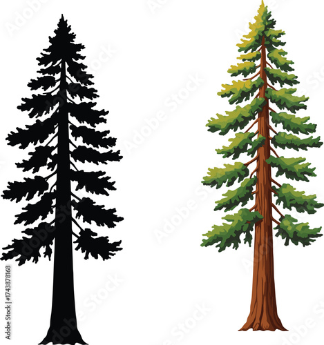Tree, silhouette, illustration, coniferous, pine, foliage, trunk, branches, nature, forest, comparison, design, structure, shape, contrast, visual, organic, environment, realistic, black, 