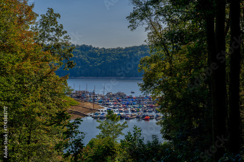 This photograph offers a scenic glimpse of a bustling lakeside marina, framed by the dark, lush foliage of trees on either side, creating a natural window effect. 