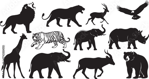 Jungle Animals Silhouette Illustration