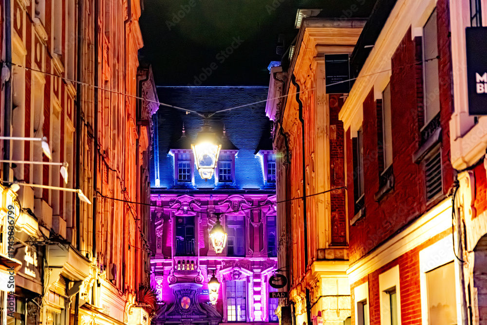 Fototapeta premium Lille city north of France downtown