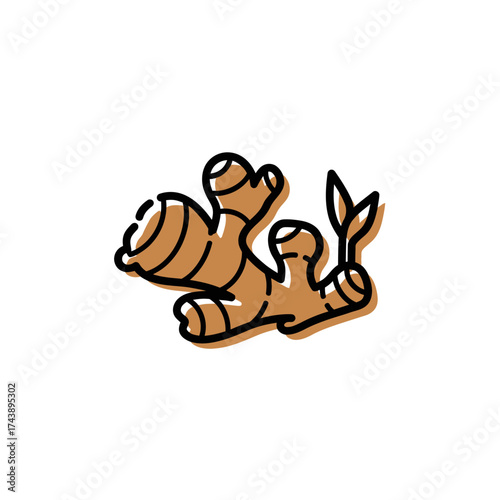 Ginger root with green sprout isolated on white background hand drawn vector illustration