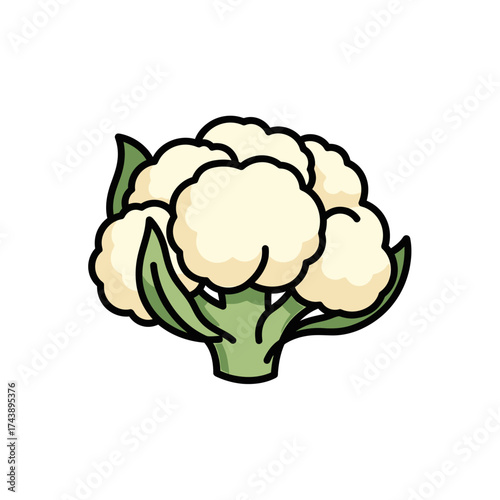 Illustration of a cauliflower isolated on white background, a healthy and nutritious vegetable