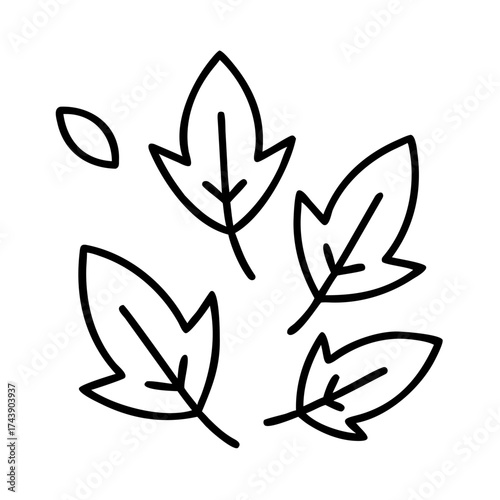 Outline of leaves illustrated in simple design on white background  