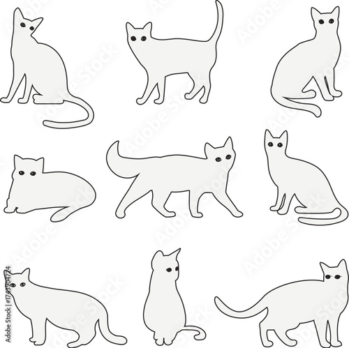 cats and dogs lodos 3d