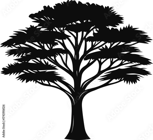 Silhouette of a large spreading tree with dense foliage