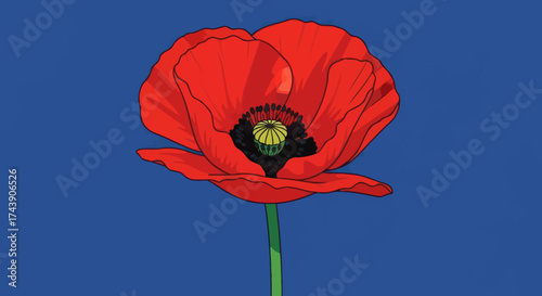 A vibrant red poppy with a black and yellow center, green stem, against a blue backdrop