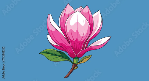 Vibrant illustration of a pink magnolia flower, stem, and leaves against a blue backdrop