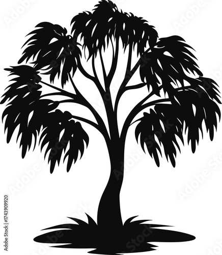 Silhouette of a lush tree with a twisted trunk and full canopy