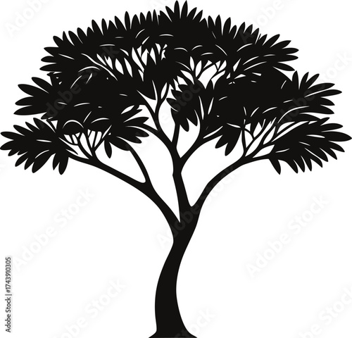 Silhouette of a lush tree with broad leaves