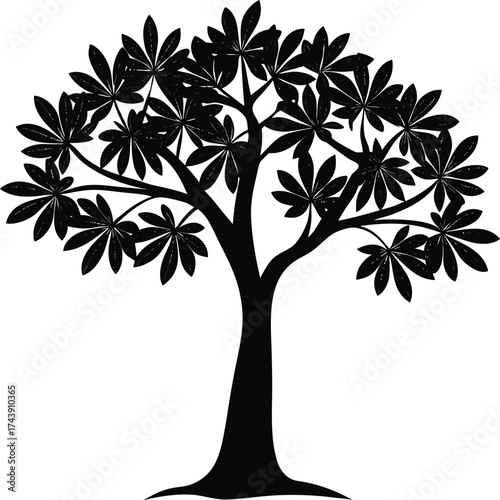 Silhouette of a lush tree with broad leaves