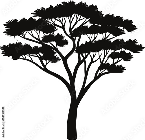 Silhouette of a majestic acacia tree against a white background