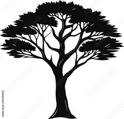 Silhouette of a majestic acacia tree against a white background