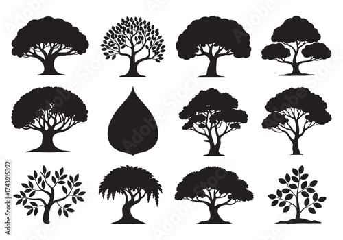 Diverse silhouetted trees collection iconic organic shapes nature plant graphics decorative elements silhouette