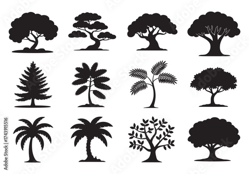 Collection of diverse tree silhouettes stylized for natural beauty and design elements silhouette