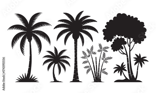 Collection of silhouetted tropical trees and palms for nature and travel designs silhouette