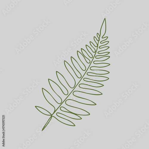 Minimalist line drawing of a fern leaf with detailed fronds on a neutral emphasizing botanical simplicity