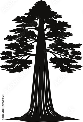 Silhouette of a majestic giant sequoia tree against a white background