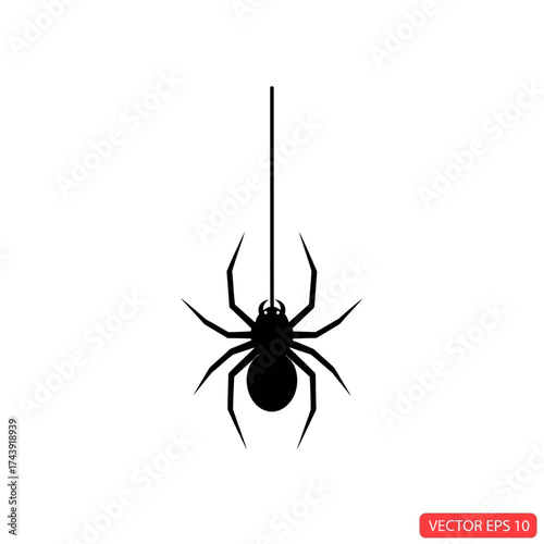 Black spider hanging from a single thread against a white background.