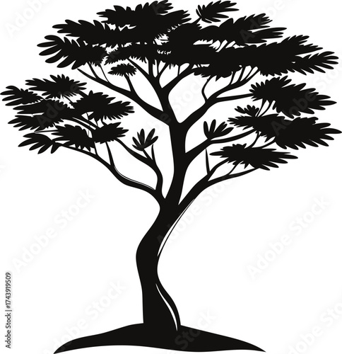 Silhouette of a majestic spreading tree with a twisted trunk