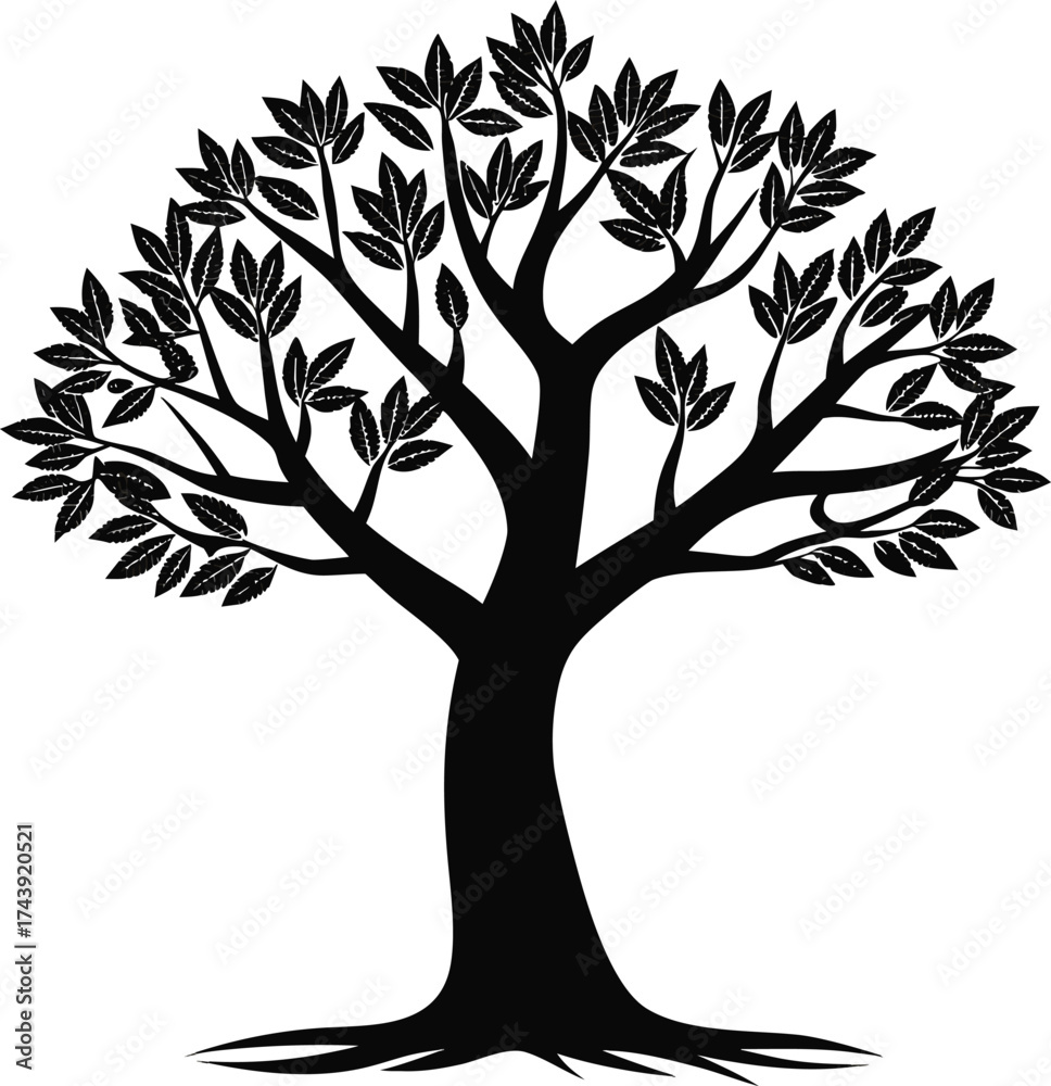 Obraz premium Silhouette of a majestic tree with detailed branches and leaves