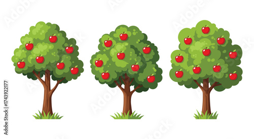 Three lush green apple trees laden with ripe red fruit stand against a clean white background, perfect for harvest themes
