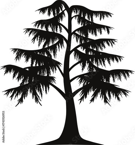 silhouette of palm tree