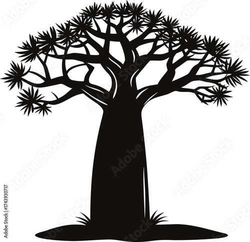 Silhouette of a unique african quiver tree against a white background