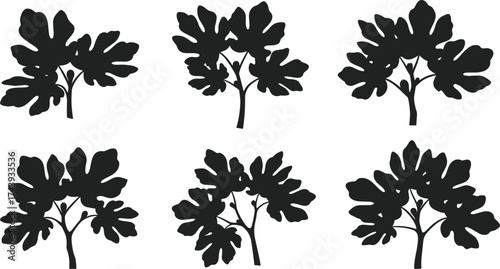 Broad leaf tree silhouettes set, black and white botanical illustration, forest plants, nature design, outdoor woodland artwork, decorative landscape symbols