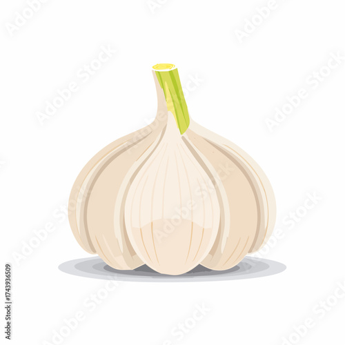 Knoblauch