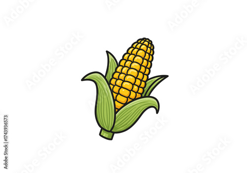 Vibrant Yellow Corn Cob with Green Husks Freshly Harvested.