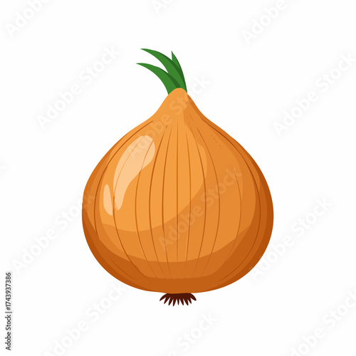 Braune Zwiebel