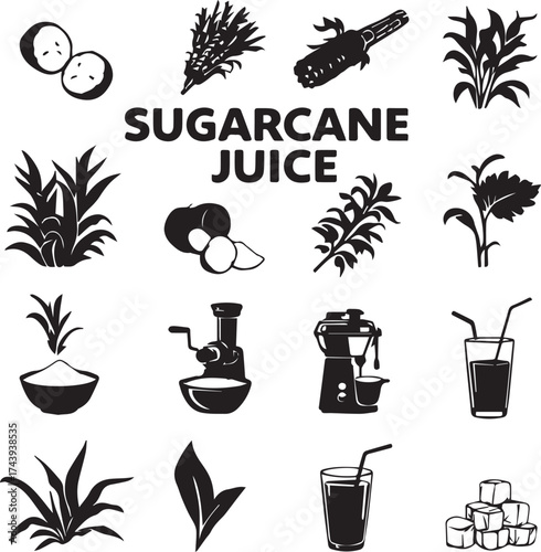 Sugarcane juice and plant elements vector illustration for agriculture, beverage, and natural product themes