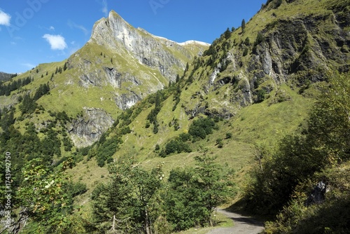 Driveway, hiking trail to Käser Alpe, behind Himmelhorn, Oytal, near Oberstdorf, Oberallgäu, Allgäu, Bavaria, Germany
