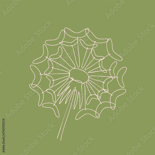 Minimalist Line Drawing of a Dandelion Flower with a Long Stem on a Soft Green