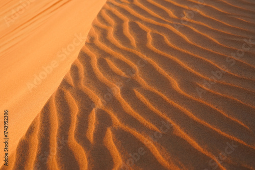 Fototapeta Naklejka Na Ścianę i Meble -  Beautiful orange dune close-up view at sunrise or sunset background, Wahiba Sands, Oman