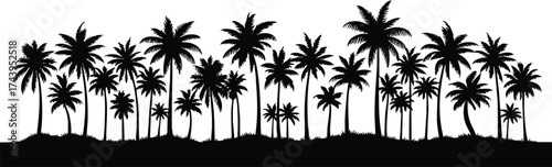 Horizontal beach tree jungle landscape border element vector illustration isolated on a white background