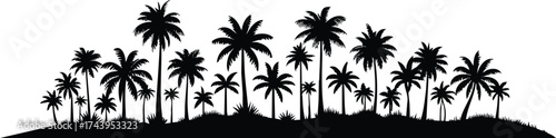 Horizontal beach tree jungle landscape border element vector illustration isolated on a white background