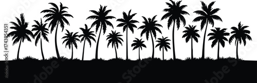 Horizontal beach tree jungle landscape border element vector illustration isolated on a white background