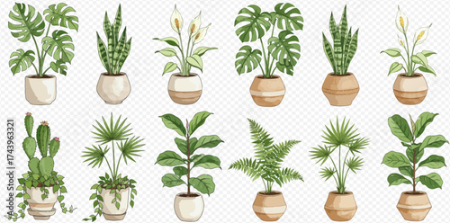 Collection of potted plants, including monstera, snake plant, peace lily, fern, and palm, in various decorative pots.