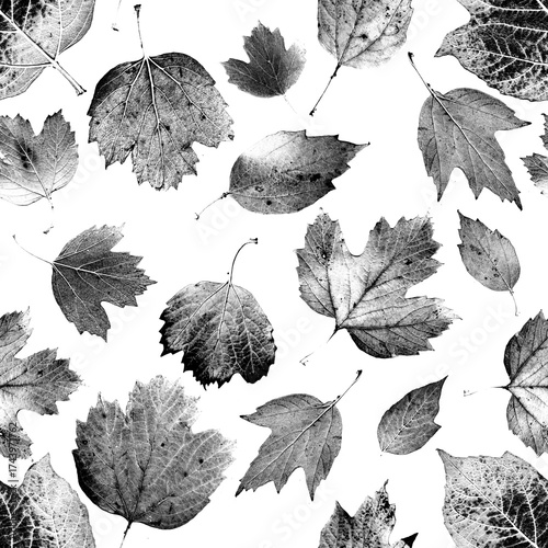 Seamless pattern with the group of live leaves imprints