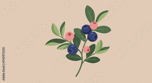 Delicate illustration of a blueberry branch with leaves and small pink flowers.