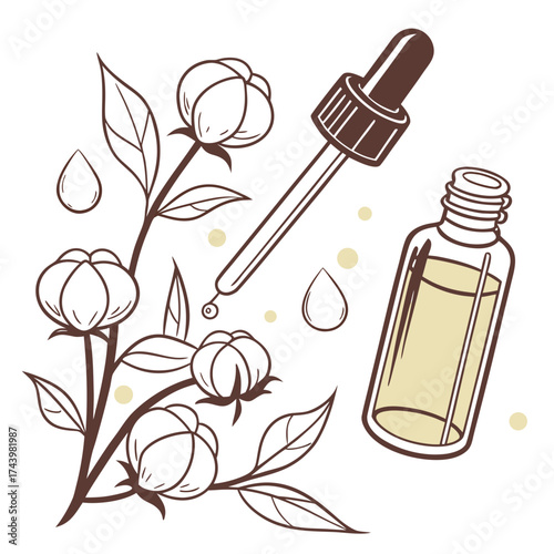 Cotton plant with oil dropper and bottle symbolizing natural skincare and essential oil extraction