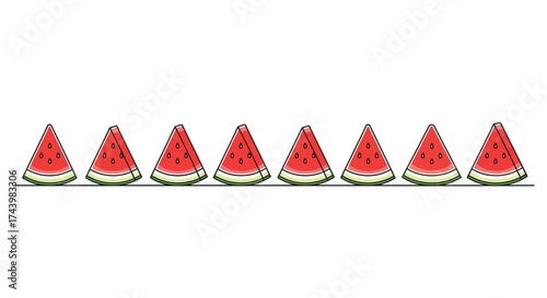 Fresh slices of juicy watermelon arranged in a line displayed individually vector