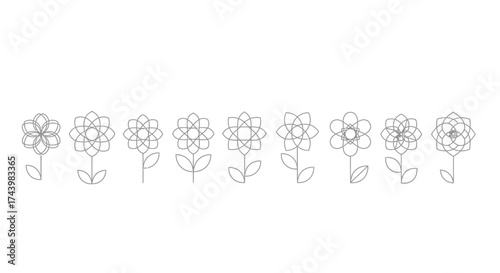 A line art collection of diverse floral blooms with delicate stems and petals vector
