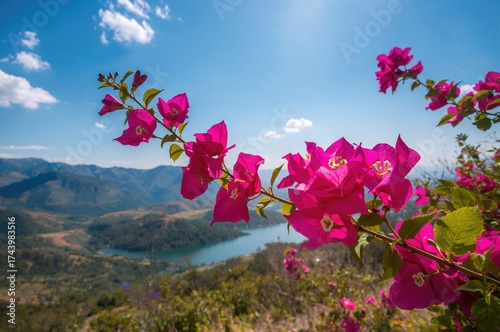 Breathtaking scenes featuri...