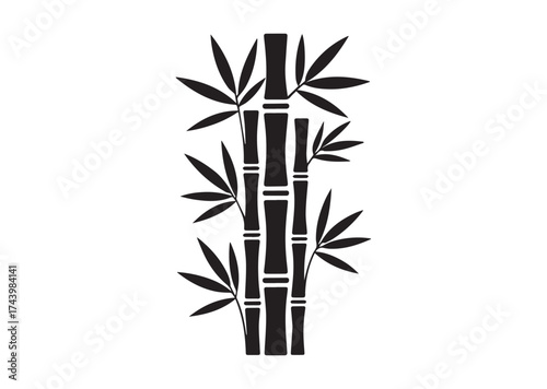 Bamboo Icon, Bamboo Solid Vector, Bamboo Design