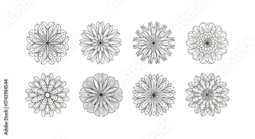 Abstract floral mandala designs elegant circular patterns set for artistic creations vector
