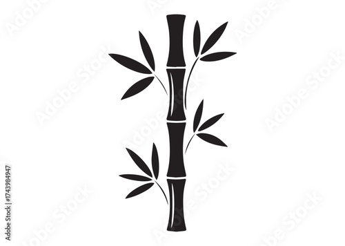 Bamboo Icon, Bamboo Solid Vector, Bamboo Design