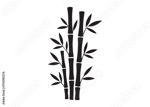 Bamboo Icon, Bamboo Solid Vector, Bamboo Design